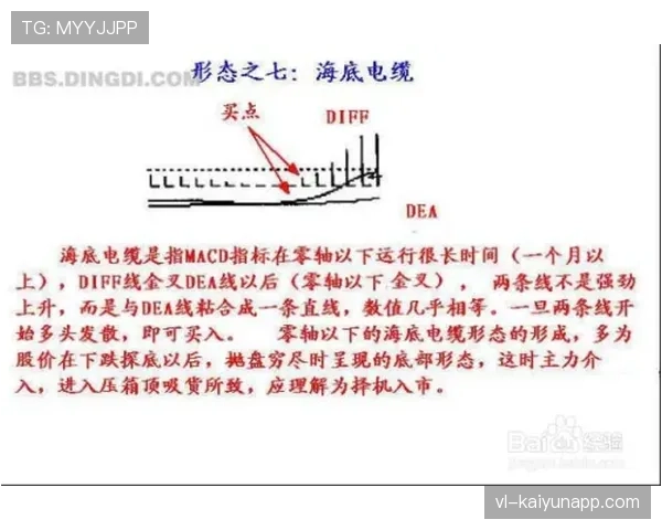 杜埃技术上限与实战价值落差的成因解析